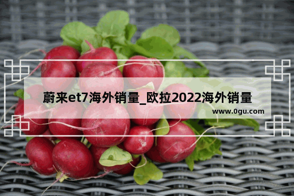 蔚来et7海外销量_欧拉2022海外销量