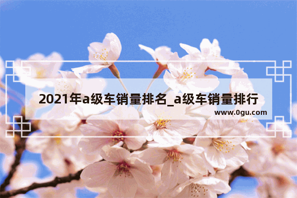 2021年a级车销量排名_a级车销量排行榜