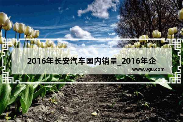 2016年长安汽车国内销量_2016年企广义乘用车销量排行榜