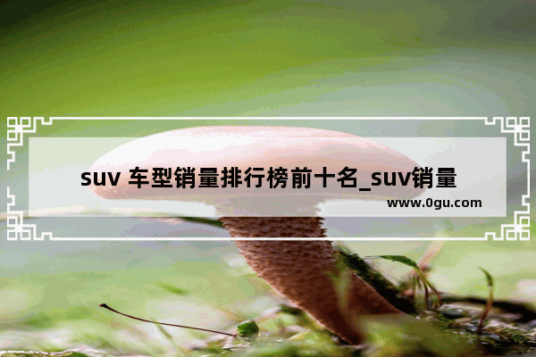 suv 车型销量排行榜前十名_suv销量排行榜前十口碑最好七座