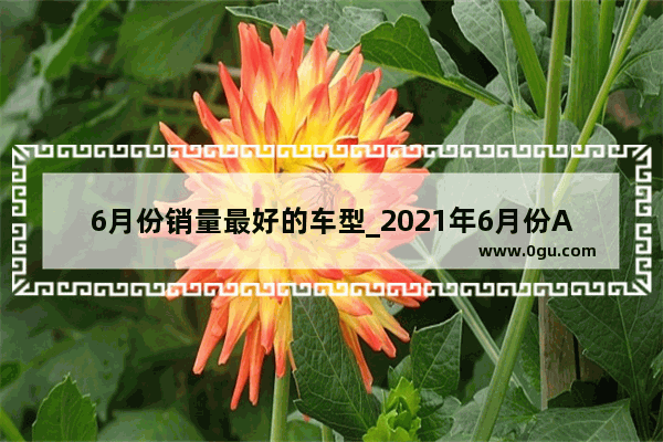 6月份销量最好的车型_2021年6月份A级汽车销量排行榜