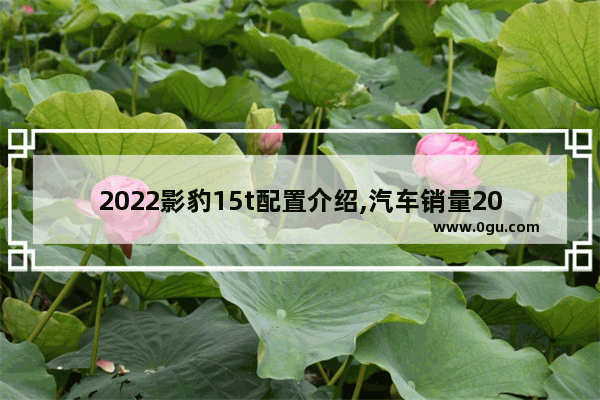 2022影豹15t配置介绍,汽车销量2022影豹