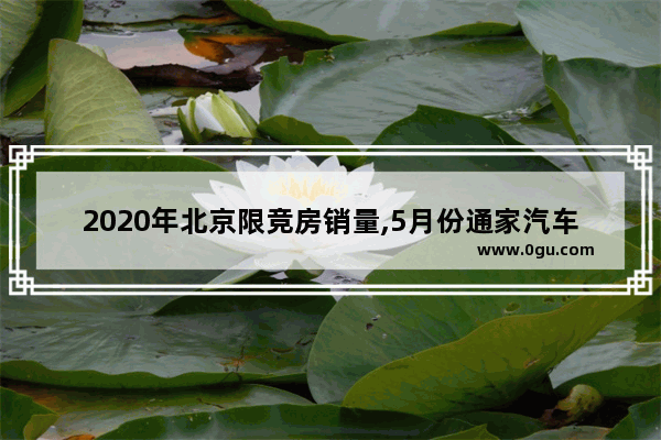 2020年北京限竞房销量,5月份通家汽车销量怎样