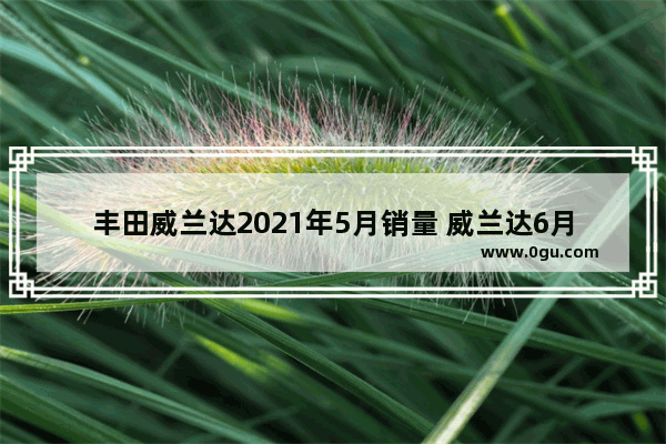 丰田威兰达2021年5月销量 威兰达6月汽车销量多少