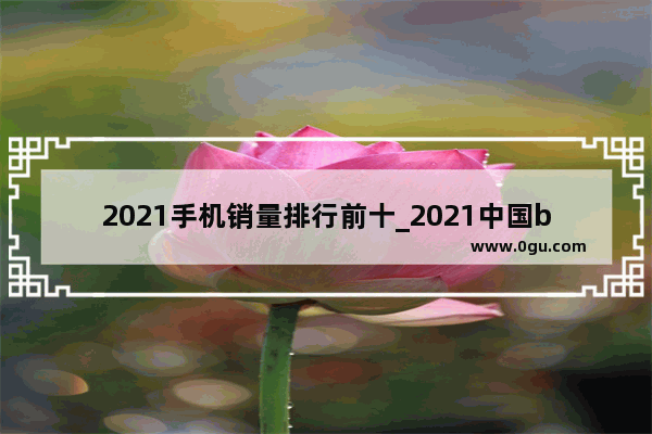 2021手机销量排行前十_2021中国b级车销量榜