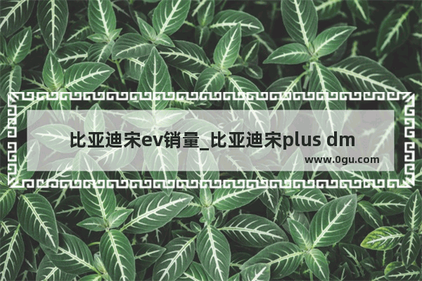 比亚迪宋ev销量_比亚迪宋plus dmi销售数量