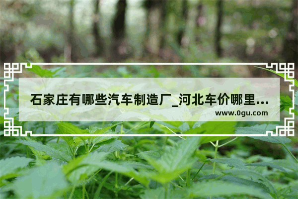 石家庄有哪些汽车制造厂_河北车价哪里最便宜