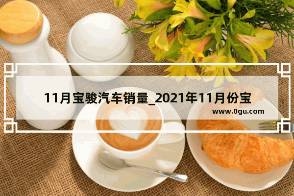 11月宝骏汽车销量_2021年11月份宝骏汽车销量