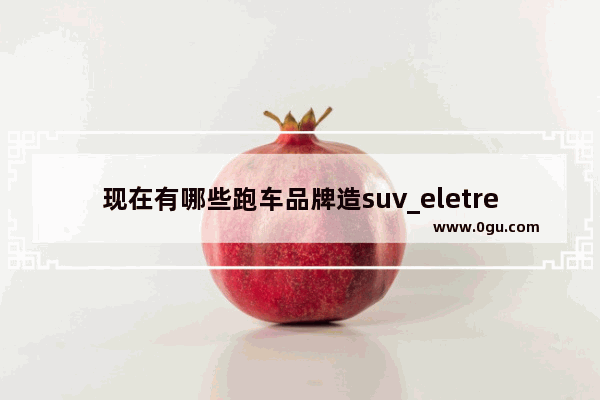 现在有哪些跑车品牌造suv_eletre汽车销量