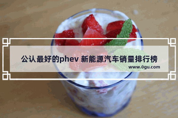 公认最好的phev 新能源汽车销量排行榜phev