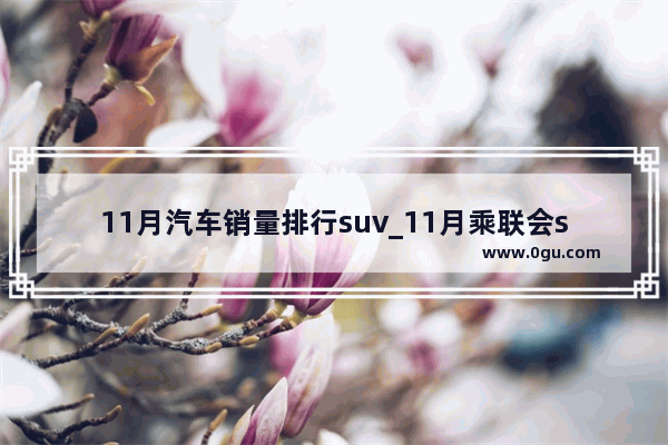 11月汽车销量排行suv_11月乘联会suv销量排行榜