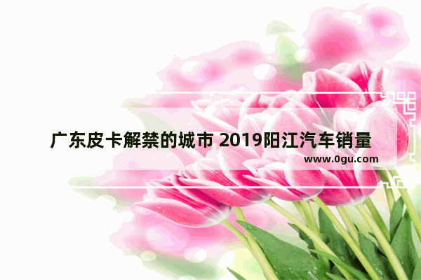 广东皮卡解禁的城市 2019阳江汽车销量