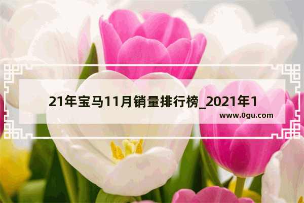 21年宝马11月销量排行榜_2021年11月豪华车汽车销量排行榜