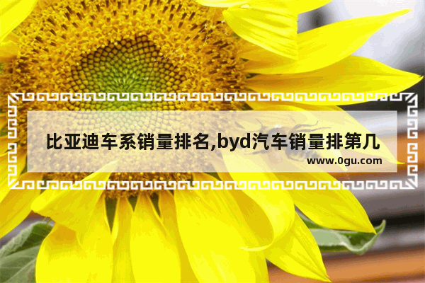 比亚迪车系销量排名,byd汽车销量排第几