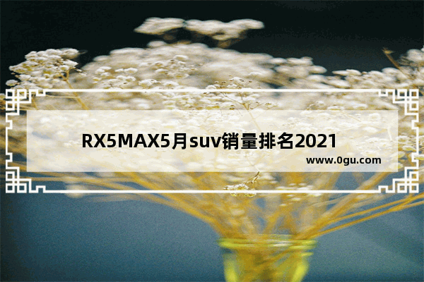 RX5MAX5月suv销量排名2021 5月汽车销量排行榜 suv