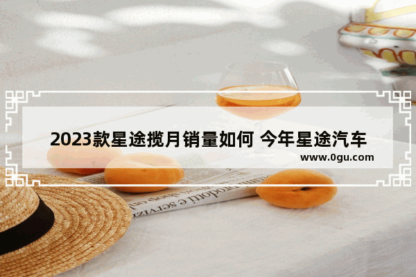 2023款星途揽月销量如何 今年星途汽车销量排行榜