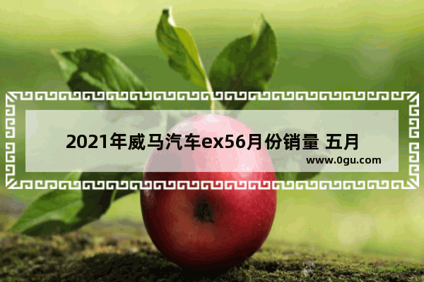 2021年威马汽车ex56月份销量 五月威马汽车销量