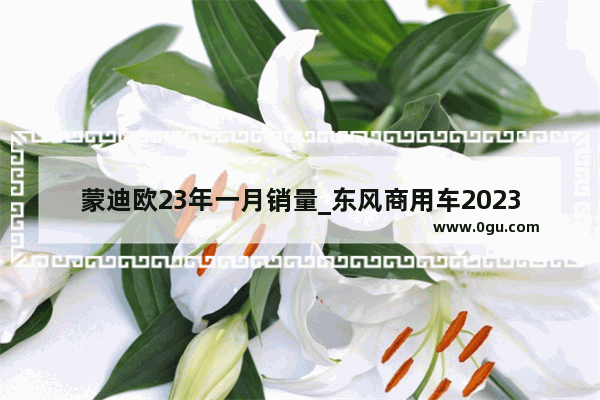 蒙迪欧23年一月销量_东风商用车2023年的销量会怎么样