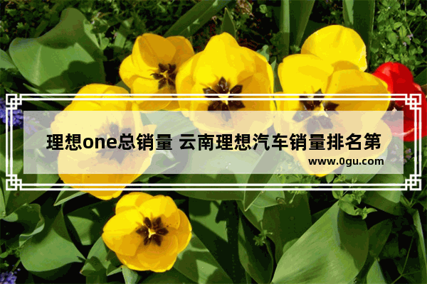 理想one总销量 云南理想汽车销量排名第几