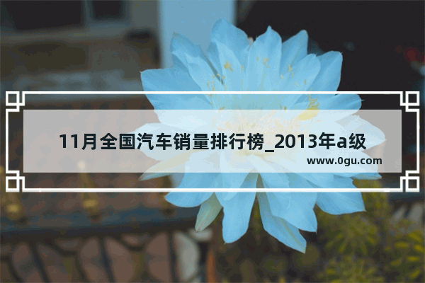 11月全国汽车销量排行榜_2013年a级车销量排行榜