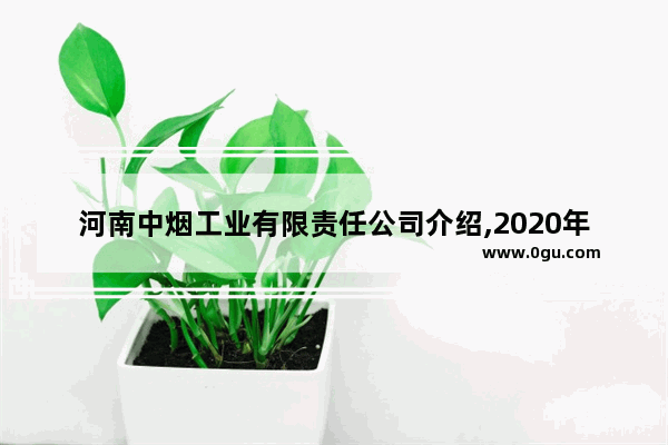 河南中烟工业有限责任公司介绍,2020年许昌汽车销量