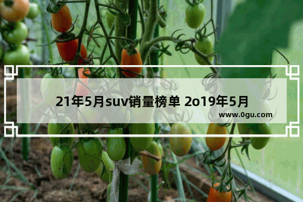 21年5月suv销量榜单 2o19年5月su 汽车销量排行榜