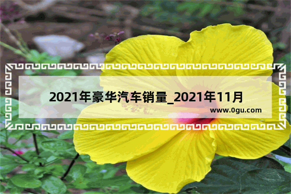 2021年豪华汽车销量_2021年11月豪华车销量