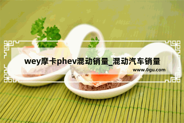 wey摩卡phev混动销量_混动汽车销量第一名品牌