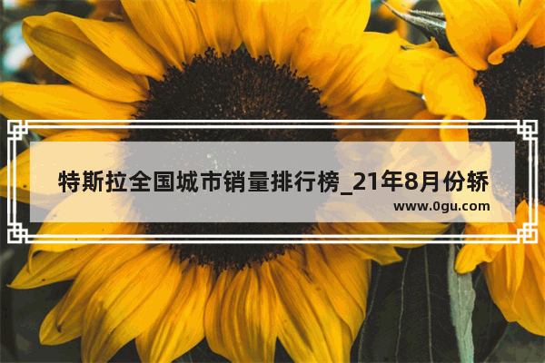 特斯拉全国城市销量排行榜_21年8月份轿车汽车销量排行