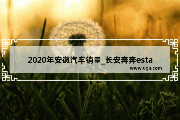 2020年安徽汽车销量_长安奔奔estar2020心动版销量