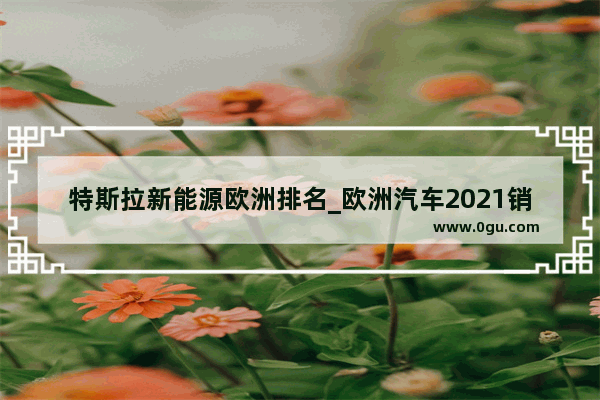 特斯拉新能源欧洲排名_欧洲汽车2021销量排行