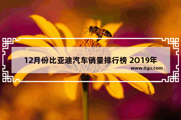 12月份比亚迪汽车销量排行榜 2O19年12月汽车销量排行榜