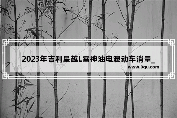 2023年吉利星越L雷神油电混动车消量_吉利帝豪雷神hi-p和星瑞怎么选