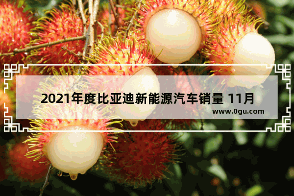 2021年度比亚迪新能源汽车销量 11月新能源汽车销量西安