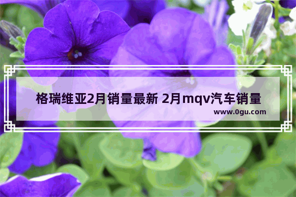 格瑞维亚2月销量最新 2月mqv汽车销量