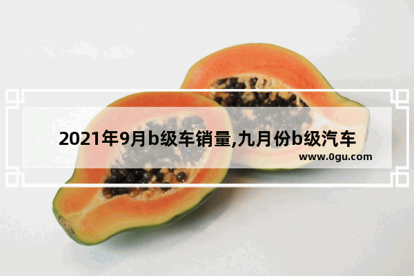 2021年9月b级车销量,九月份b级汽车销量排行榜2021