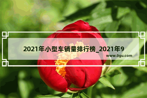 2021年小型车销量排行榜_2021年9月本田xrv汽车销量排行榜