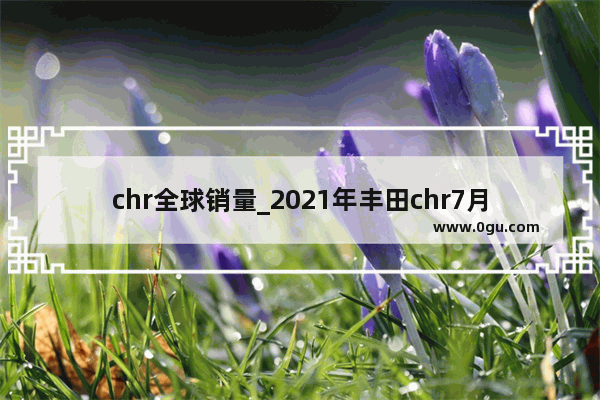 chr全球销量_2021年丰田chr7月销量