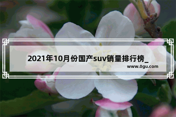 2021年10月份国产suv销量排行榜_2021年10月国产紧凑型suv销量排行榜