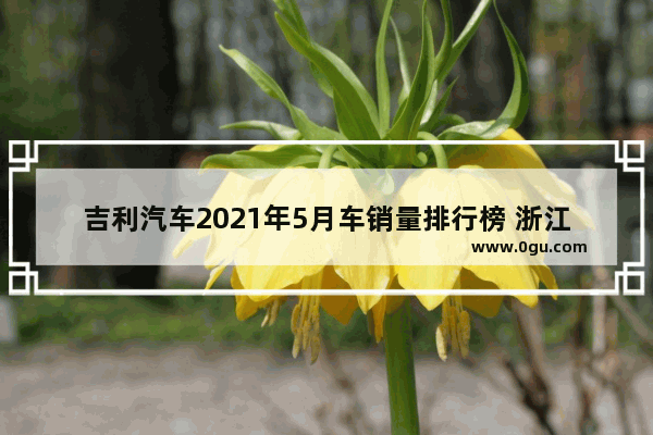 吉利汽车2021年5月车销量排行榜 浙江省5月汽车销量排名