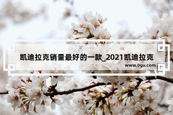 凯迪拉克销量最好的一款_2021凯迪拉克10月销量