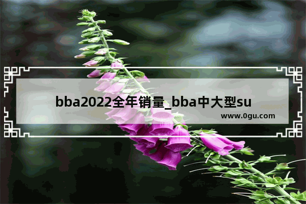 bba2022全年销量_bba中大型suv销量排行