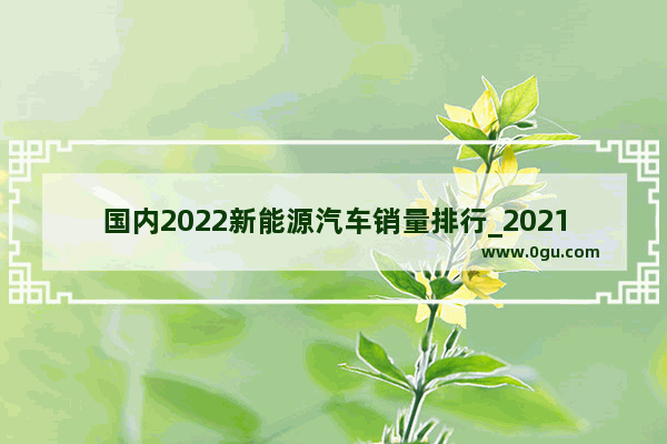 国内2022新能源汽车销量排行_2021年新能源汽车月销量排行榜