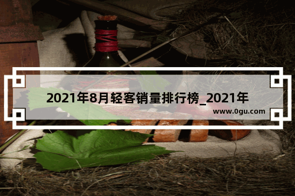 2021年8月轻客销量排行榜_2021年10月轻客销量