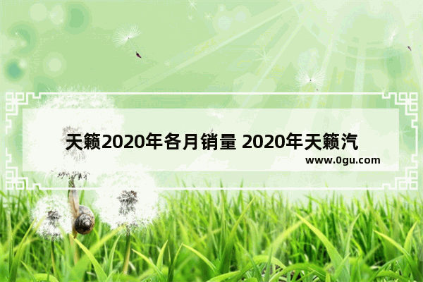 天籁2020年各月销量 2020年天籁汽车销量