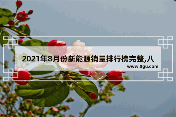 2021年8月份新能源销量排行榜完整,八月份纯电动汽车销量排名