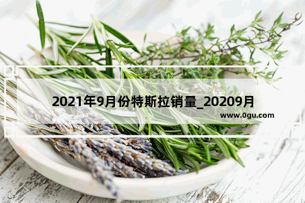 2021年9月份特斯拉销量_20209月特斯拉销量