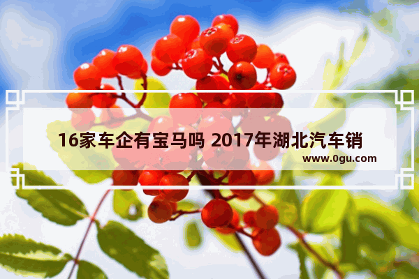 16家车企有宝马吗 2017年湖北汽车销量