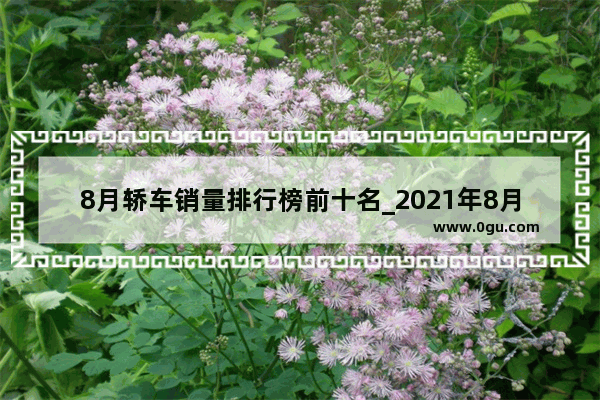 8月轿车销量排行榜前十名_2021年8月A级汽车销量排行榜