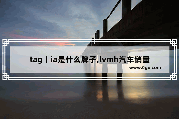 tag丨ia是什么牌子,lvmh汽车销量